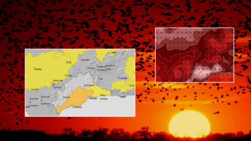 heat-warning-for-the-costa-del-sol-as-infamous-‘terral-winds’-to-send-temperatures-soaring-back-towards-40c