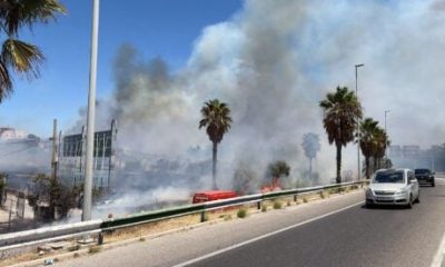 estepona-roadside-fire-near-a7-destroys-50-cars-and-forces-evacuations-after-bin-fire-spreads-to-mechanic’s-workshop