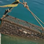 malaga-scientists-dunk-160-bottles-of-axarquia-wine-under-the-sea
