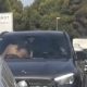tourist-couple-who-had-wild-sex-romp-on-marbella-motorway-are-tracked-down-and-fined