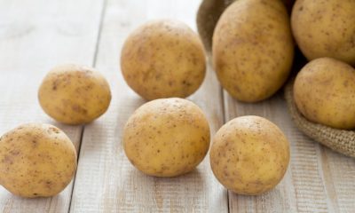 adios-a-las-bolsas-de-patatas-rodando-por-la-cocina:-estas-cajas-transparentes-hacen-una-despensa-de-revista