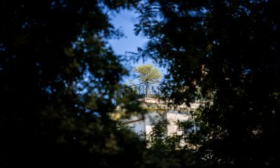 planifica-madrid-actualiza-su-agenda-una-vez-que-el-pais-publica-que-la-mantenia-oculta-desde-el-26-de-marzo