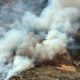 murcia-firefighters-battle-massive-forest-blaze-in-moratalla