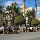 should-horse-carriage-rides-be-banned?