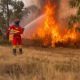 467-forced-from-their-homes-as-massive-wildfire-sweeps-across-huelva