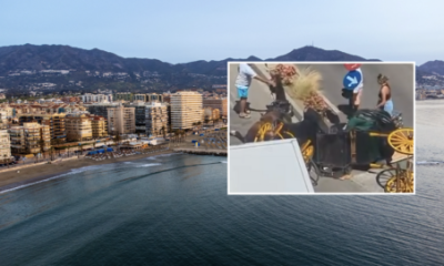 fuengirola-crash-during-orange-heat-alert-reignites-row-over-horse-carriage-rides-on-the-costa-del-sol