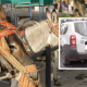 junta-officers-caught-helping-mijas-donkey-taxis-lug-tourists-around-during-prohibited-orange-heat-alert