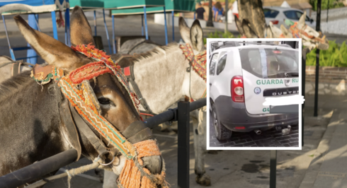 junta-officers-caught-helping-mijas-donkey-taxis-lug-tourists-around-during-prohibited-orange-heat-alert