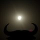 the-total-eclipse-in-spain,-in-pictures