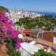 brit-tourist’s-life-is-saved-by-his-quick-thinking-wife-and-costa-del-sol-property-owner-after-heart-attack-shock-in-rural-frigiliana