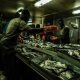 aquaculture-is-depleting-the-oceans:-a-farmed-salmon-can-consume-more-than-six-times-its-weight-in-wild-fish