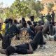 marruecos-frustra-el-intento-de-cientos-de-migrantes-subsaharianos-de-alcanzar-ceuta