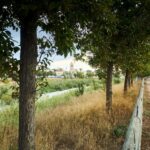 orihuela-river-segura-restoration