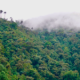 leonardo-dicaprio-and-jeff-bezos-put-$200m-behind-desperate-bid-to-save-100-species