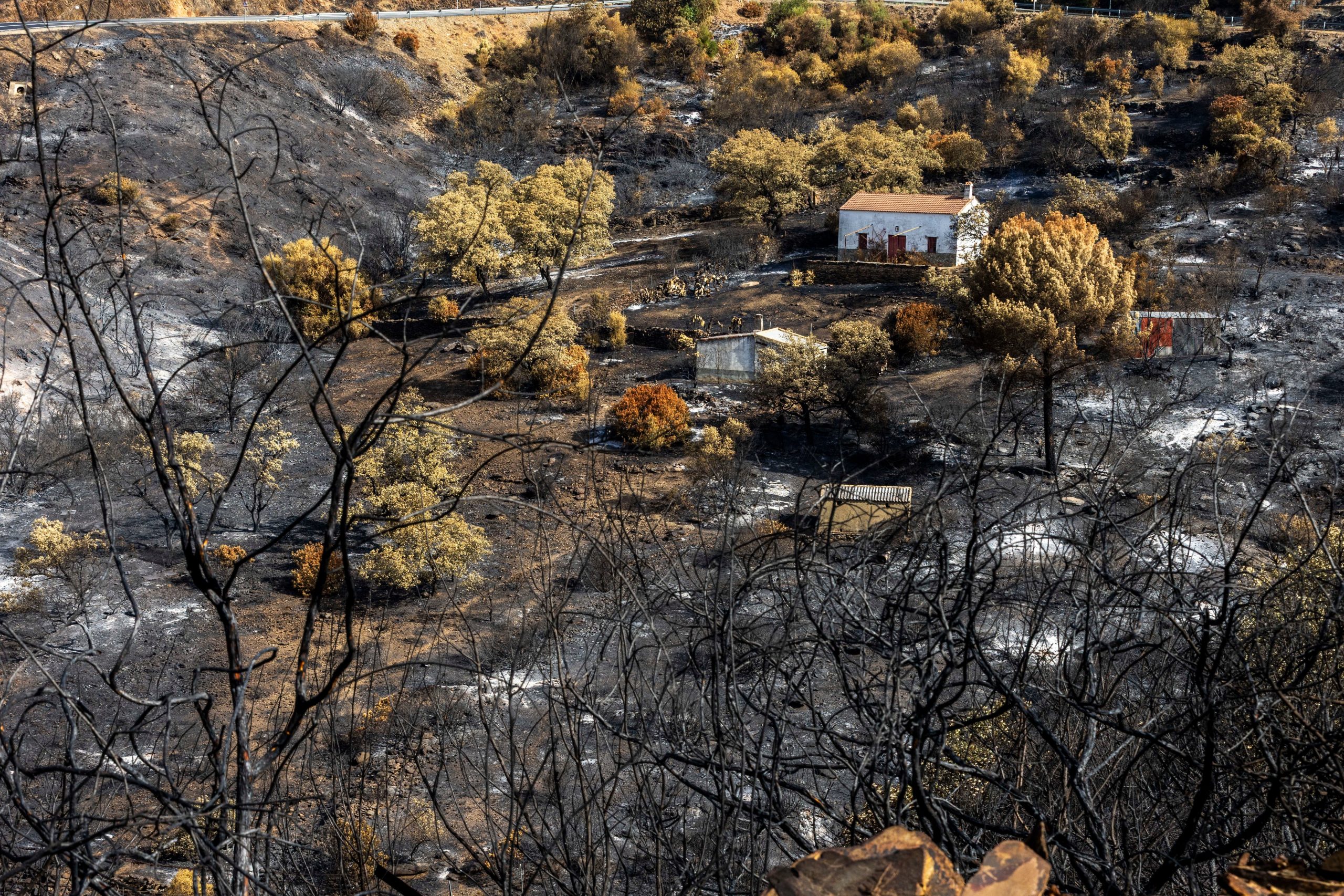 los-vecinos-afectados-por-el-incendio-en-huesca-podran-volver-el-martes-a-sus-casas