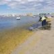 mar-menor-cleanup-crews-praised-after-removing-more-than-6,600-tonnes-of-biomass