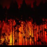 700-flee-as-suspected-arson-wildfire-spreads-from-caceres-into-salamanca