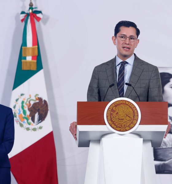 mexico-steps-up-legal-offensive-over-17-mexicans-who-died-in-ice-custody:-‘there-are-too-many-cases’
