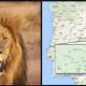 huge-search-underway-for-rogue-‘lion’-spotted-in-central-spain-after-delivery-driver-reported-seeing-one-‘on-the-loose’
