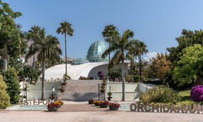 police-raid-estepona-drug-den-selling-cocaine-near-popular-orchidarium-botanical-park