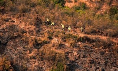 huelva-wildfire-stabilised-after-two-weeks-of-firefighting-–-33,000-hectares-scorched-in-one-of-andalucia’s-biggest-ever-blazes