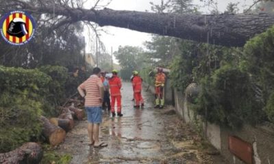 watch:-thunderstorm-and-140km/h-winds-leave-trail-of-destruction-in-valencia-–-sparking-fires,-bringing-down-trees-and-damaging-16th-century-church