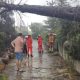 watch:-thunderstorm-and-140km/h-winds-leave-trail-of-destruction-in-valencia-–-sparking-fires,-bringing-down-trees-and-damaging-16th-century-church