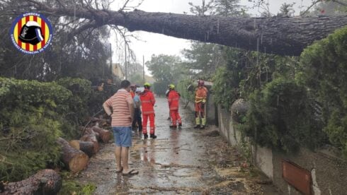 watch:-thunderstorm-and-140km/h-winds-leave-trail-of-destruction-in-valencia-–-sparking-fires,-bringing-down-trees-and-damaging-16th-century-church