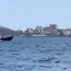 over-50-migrants-more-land-on-cartagena-coast-in-broad-daylight