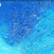 storm-warning:-atlantic-low-pressure-system-set-to-sweep-across-spain-with-strong-winds,-torrential-rain-and-thunderstorms