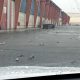 un-centenar-de-palomas-aparecen-muertas-en-el-port-de-tarragona-a-causa-del-temporal