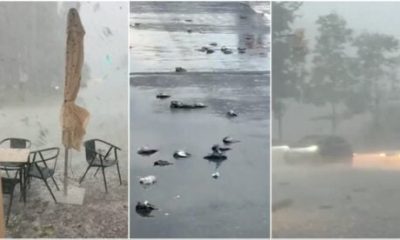 ‘genuine-massacre’:-dozens-of-pigeons-killed-as-‘super-cell’-storm-batters-tarragona-with-egg-sized-hail-stones-and-117kph-winds