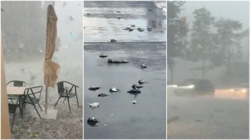 ‘genuine-massacre’:-dozens-of-pigeons-killed-as-‘super-cell’-storm-batters-tarragona-with-egg-sized-hail-stones-and-117kph-winds