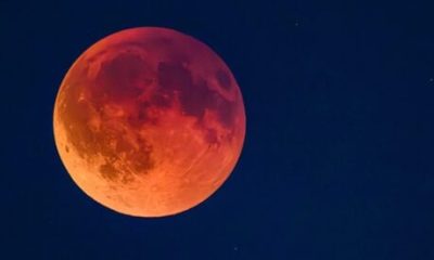 lunar-eclipse-tonight:-how-to-watch-spain’s-spectacular-celestial-show-–-and-do-you-need-special-glasses?