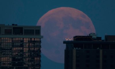 el-eclipse-parcial-de-luna,-en-imagenes