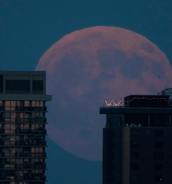 el-eclipse-parcial-de-luna,-en-imagenes