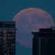el-eclipse-parcial-de-luna,-en-imagenes