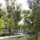 huge-new-estepona-park-set-to-open