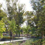 huge-new-estepona-park-set-to-open