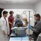 la-enfermedad-que-causa-la-mayoria-de-los-infartos-se-acumula-en-silencio-en-las-arterias-desde-la-juventud