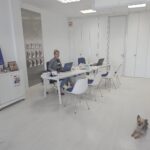 richardsons-insurance:-personal-service-and-peace-of-mind-in-spain