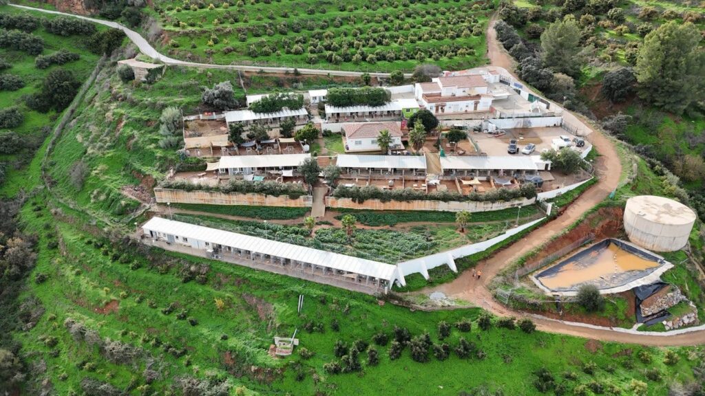 Facilities at SOS Animales Cantalobos becoming stretched.
