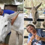 horse-lovers-meet-rescued-foals-at-arch-open-morning-this-sunday