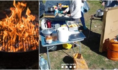 spain-issues-barbecue-warning-after-family-party-is-caught-cooking-with-open-flame-during-wildfire-season-in-catalan-national-park