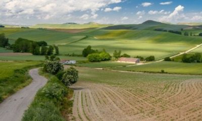 top-8-best-spanish-getaways-for-autumn:-from-rioja’s-grape-harvest-to-a-medieval-hilltop-town-where-mushroom-hunting-is-a-competitive-sport