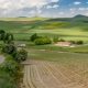 top-8-best-spanish-getaways-for-autumn:-from-rioja’s-grape-harvest-to-a-medieval-hilltop-town-where-mushroom-hunting-is-a-competitive-sport