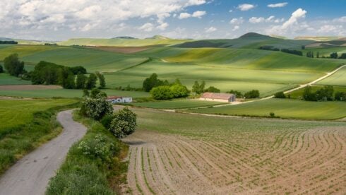 top-8-best-spanish-getaways-for-autumn:-from-rioja’s-grape-harvest-to-a-medieval-hilltop-town-where-mushroom-hunting-is-a-competitive-sport