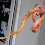 snake-in-the-bread-aisle:-bizarre-supermarket-discovery-exposes-exotic-pet-problem