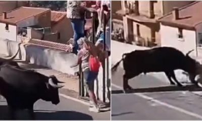 watch:-horror-as-female-tourist,-64,-is-gored-to-death-in-street-during-running-of-the-bulls-festival-in-southern-spain