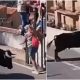 watch:-horror-as-female-tourist,-64,-is-gored-to-death-in-street-during-running-of-the-bulls-festival-in-southern-spain